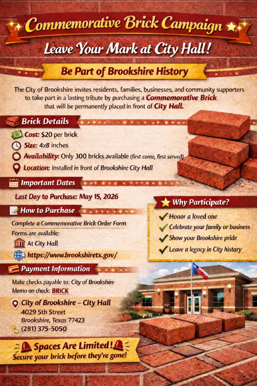 Brick Campaign Flyer